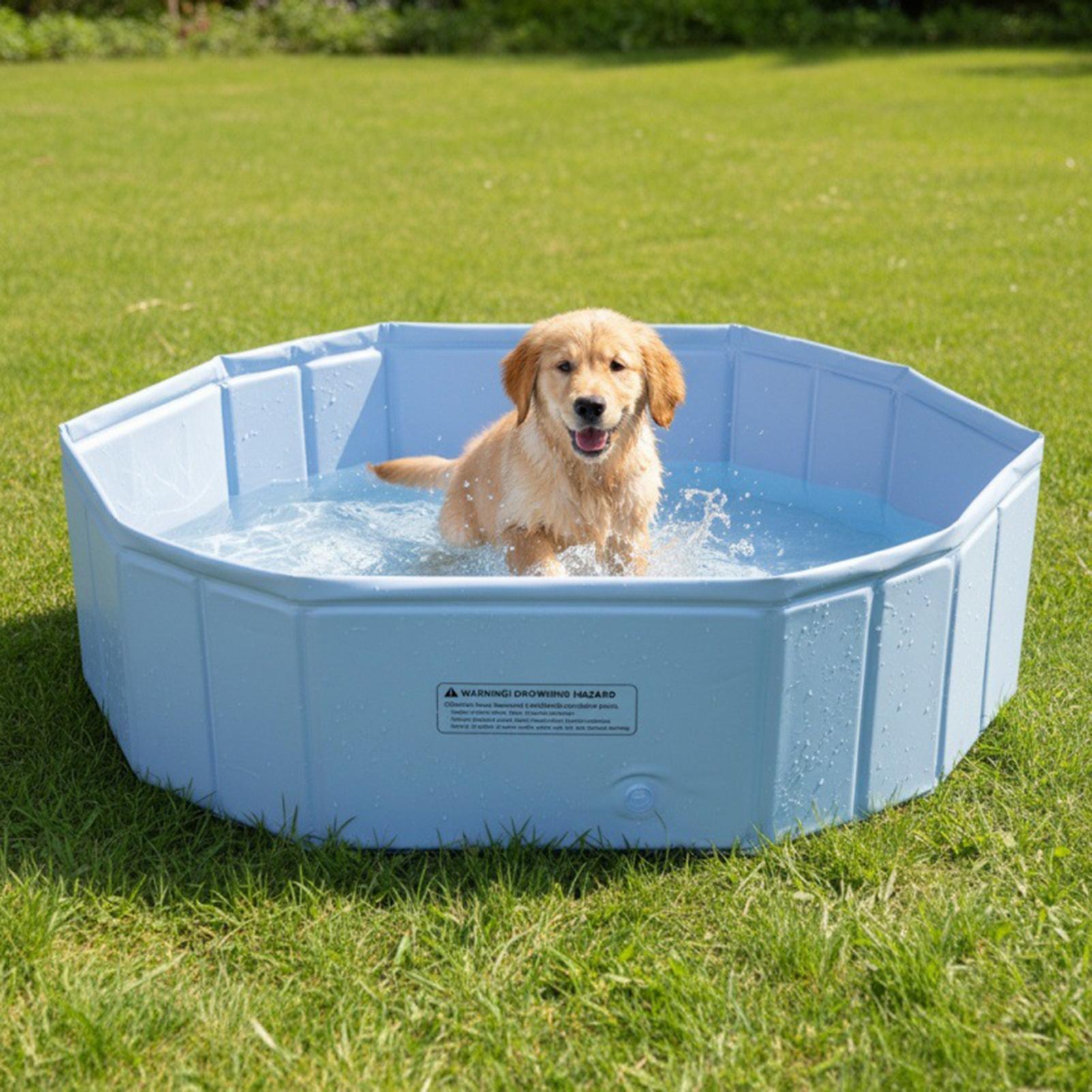 Piscina Plegable para Mascotas - Outdoor Kid Friendly reseña y precio