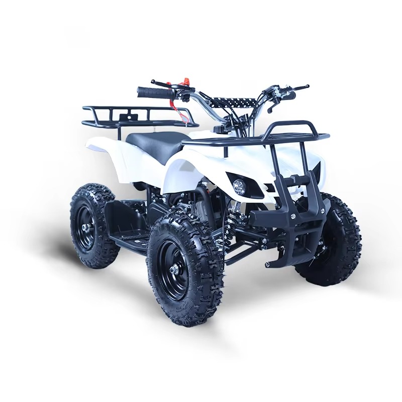 Mini ATV de 49cc para niños, c - Kids Outdoor Ride On reseña y precio